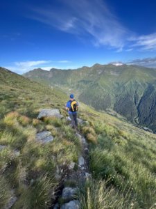 529.jpeg